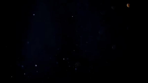 Dany MILF se abriu toda e deu o cú para 2 machos cheios de tesão