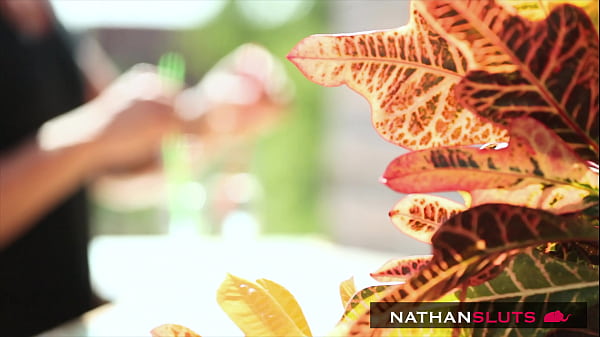 Outdoor Quickie By The Pool For Amirah Adara – 4K teaser