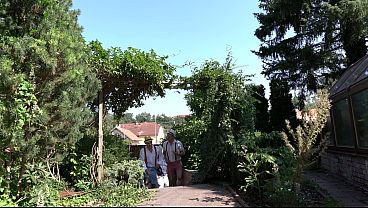 Unscripted outdoor porn game gangbang for nasty busty blonce (anal, dap, dp, deeptroath)   BTS