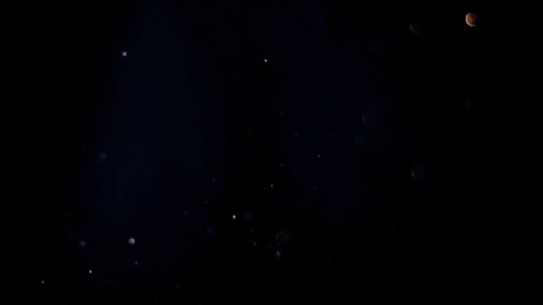 Sexo grupal intenso com a MILF casada Sra Lovefire