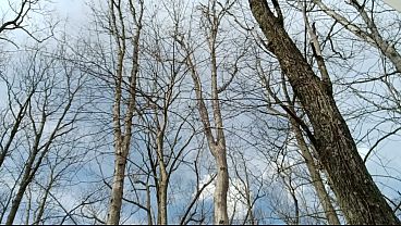 Daddys big cock needs draining get out here and suck down this huge load of cum