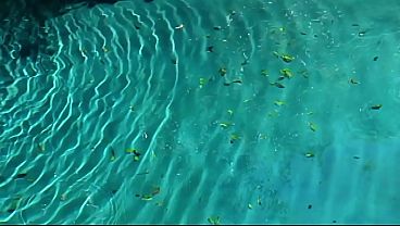 DAPHNE ROSEN IN DOUBLE PENETRATION AND MUCH MORE