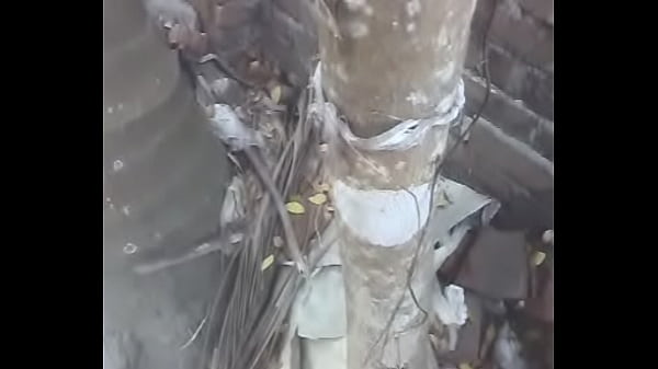 gosol bangladeshi aunty 2