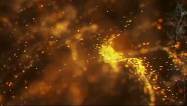 How I spent my 25th Wedding Anniversary