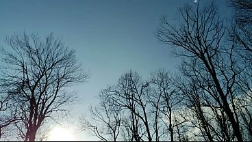 INTENSE-Prostate milking outdoor cumshot deep in the woodz MUST SEE slow mo replay