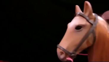 Cody and Timmy Gay cowboys