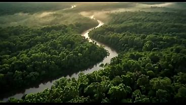 Aztec Jungle – AI Generated
