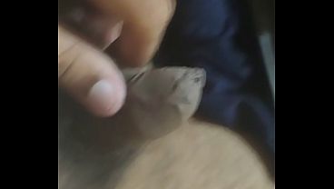 Softy dick horny today